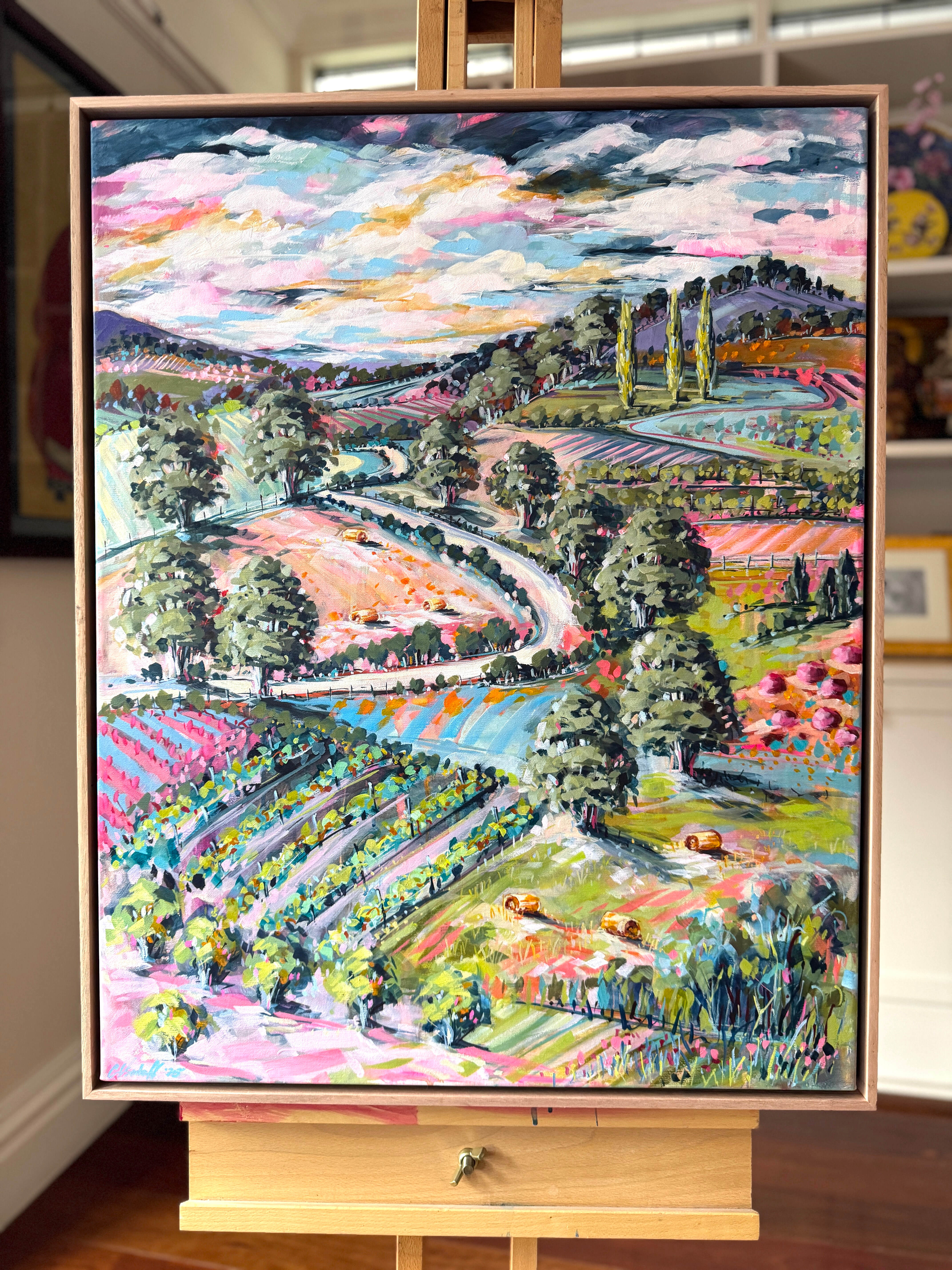 Country Road Through Red Hill 1