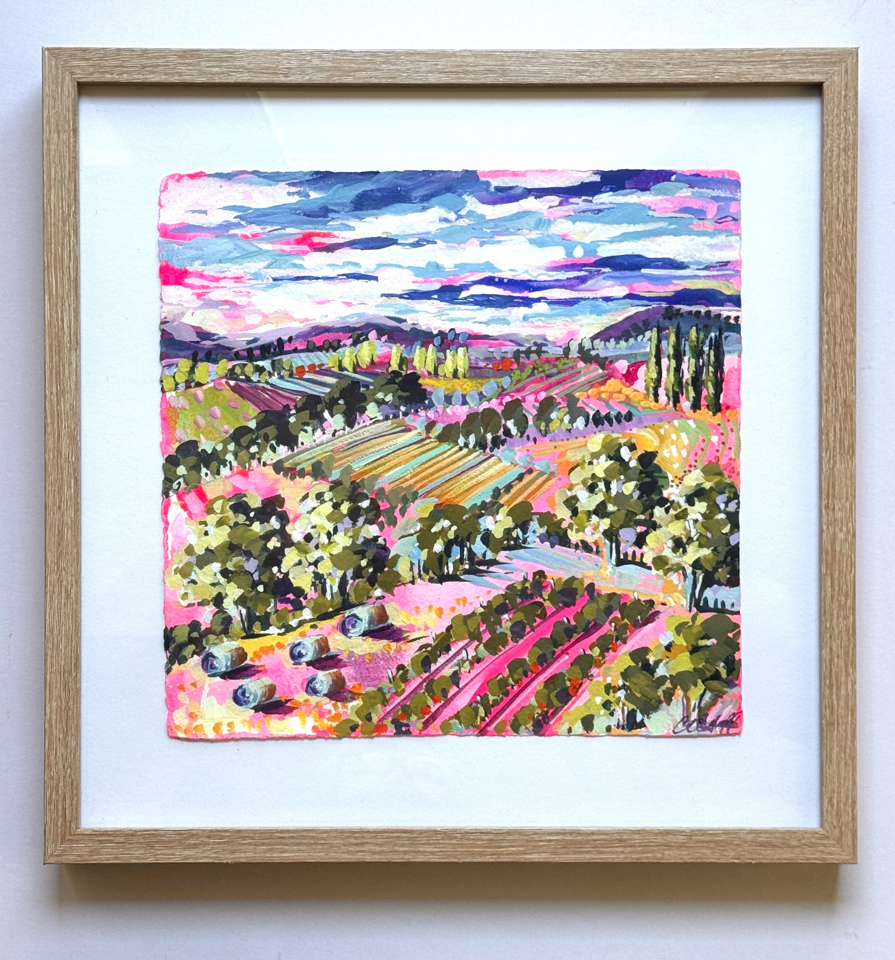 Pink Paddocks and Vines