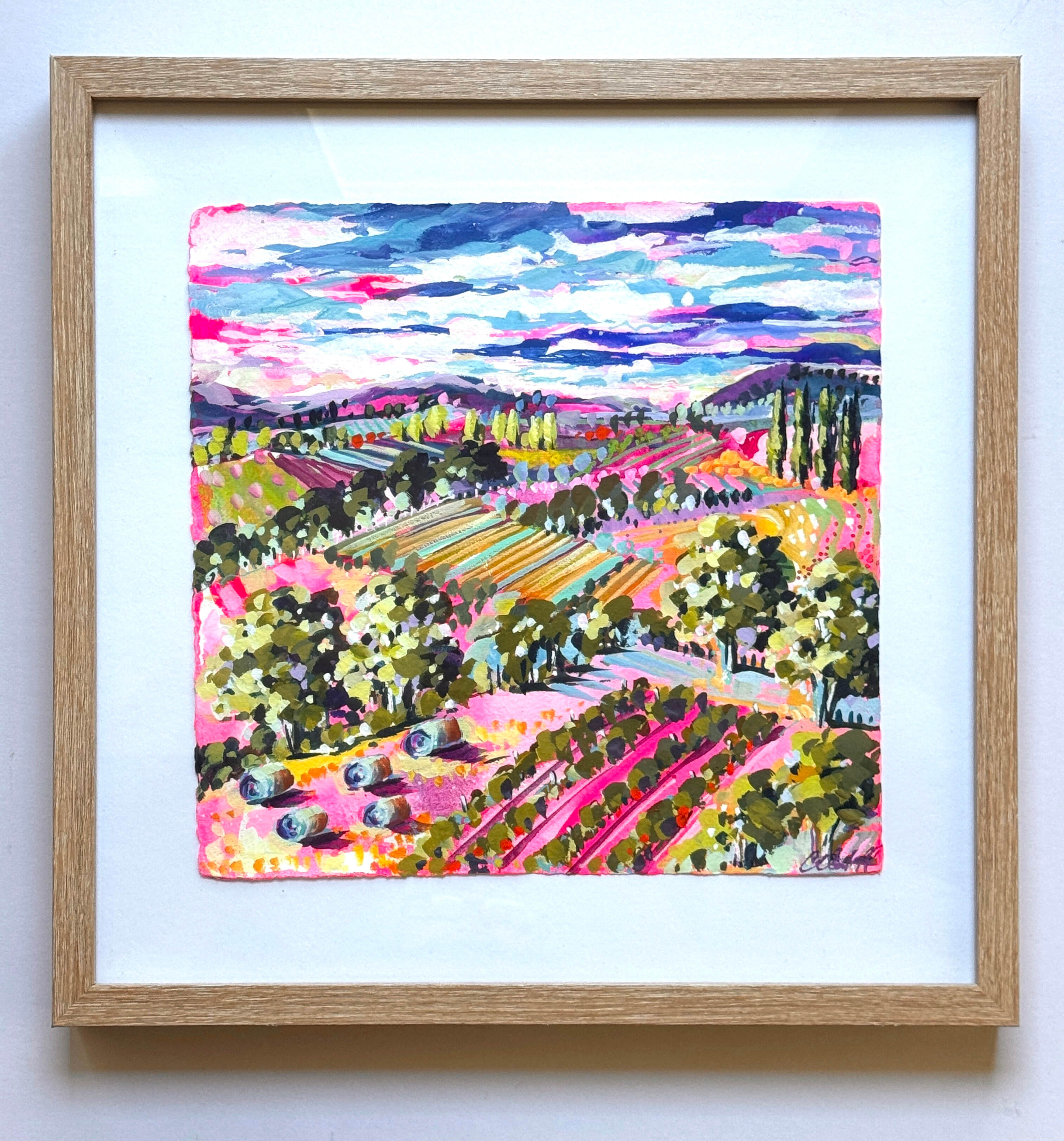 Pink Paddocks and Vines