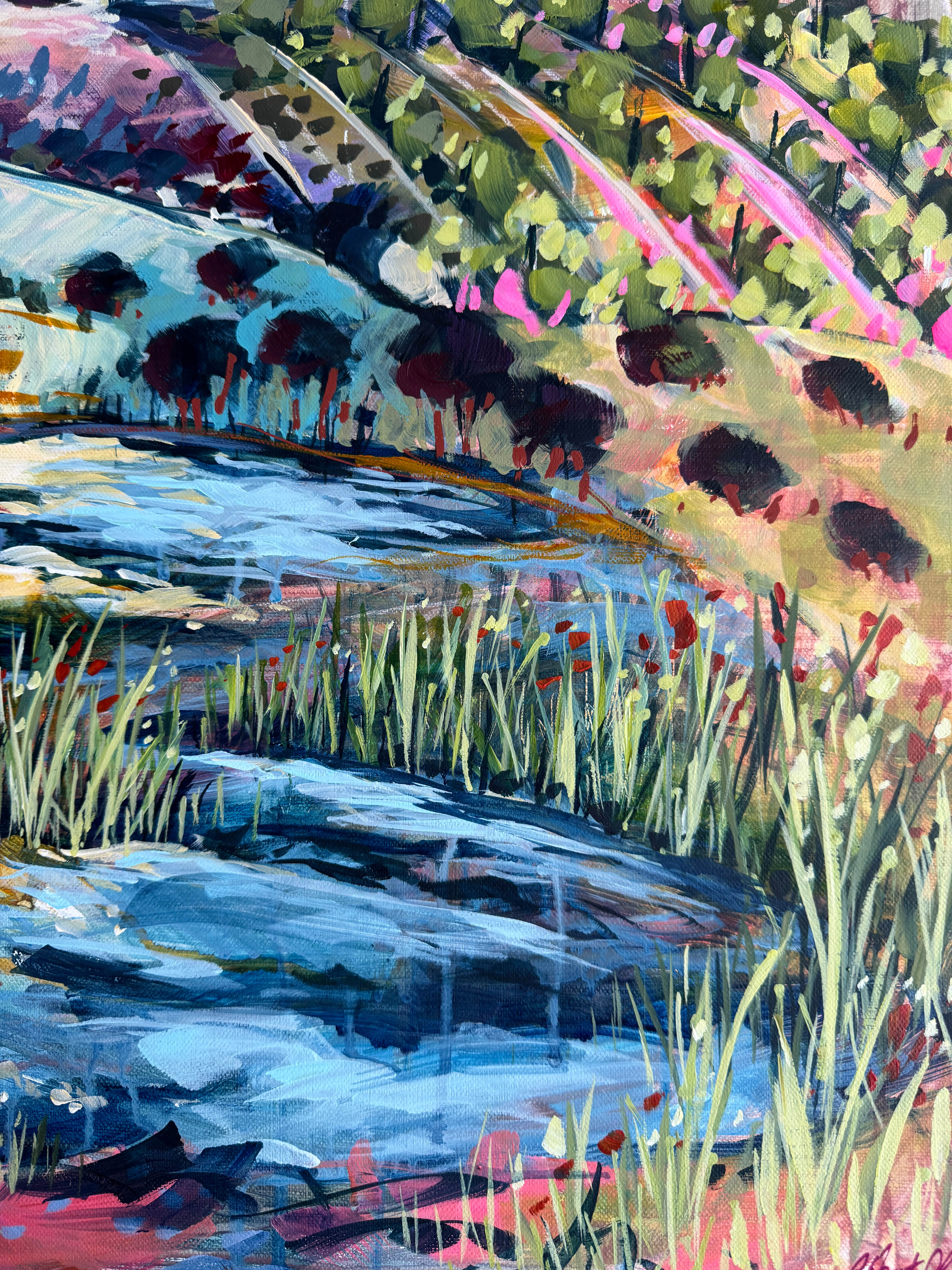 Paddocks and Ponds 2