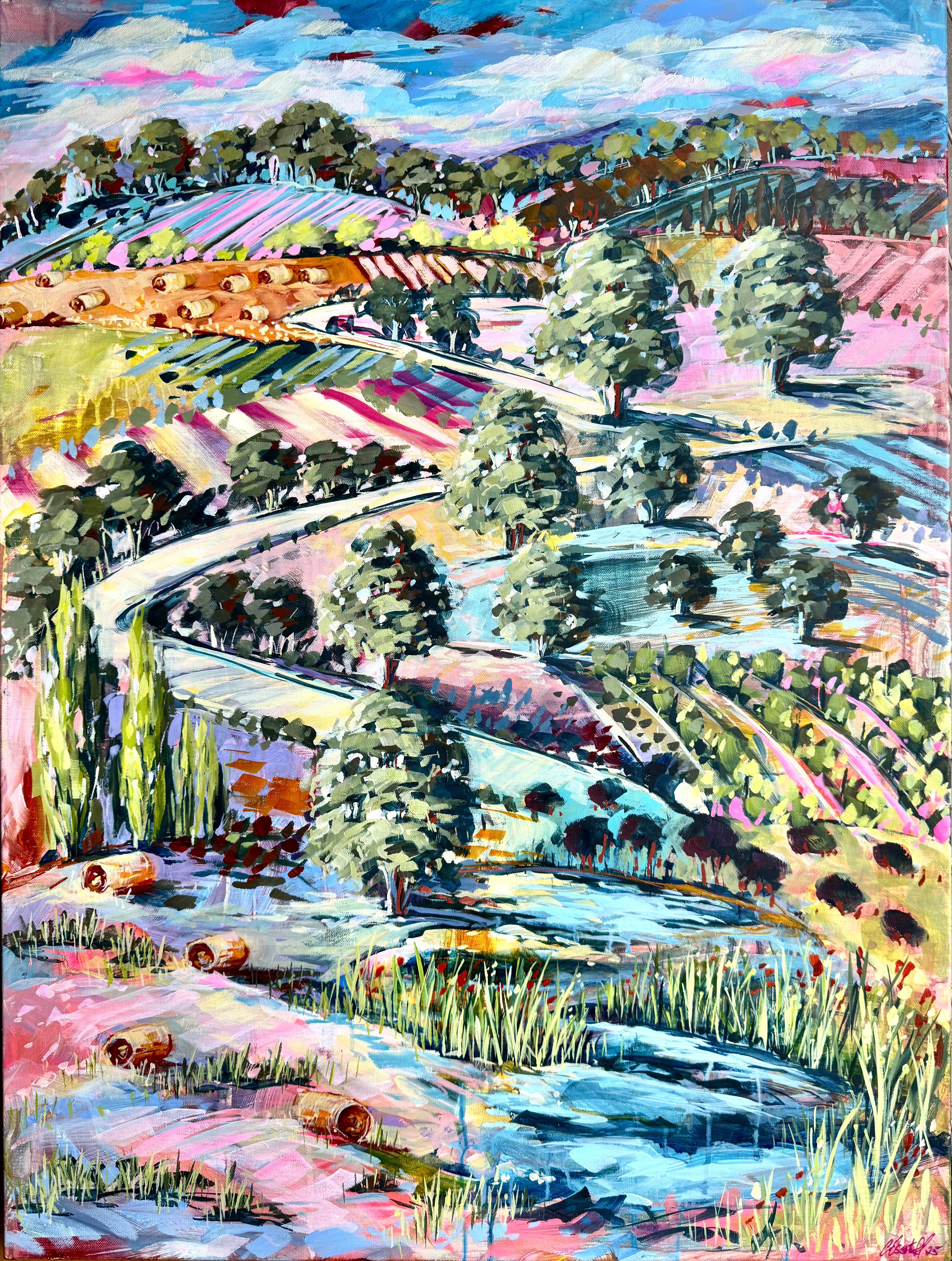 Paddocks and Ponds main