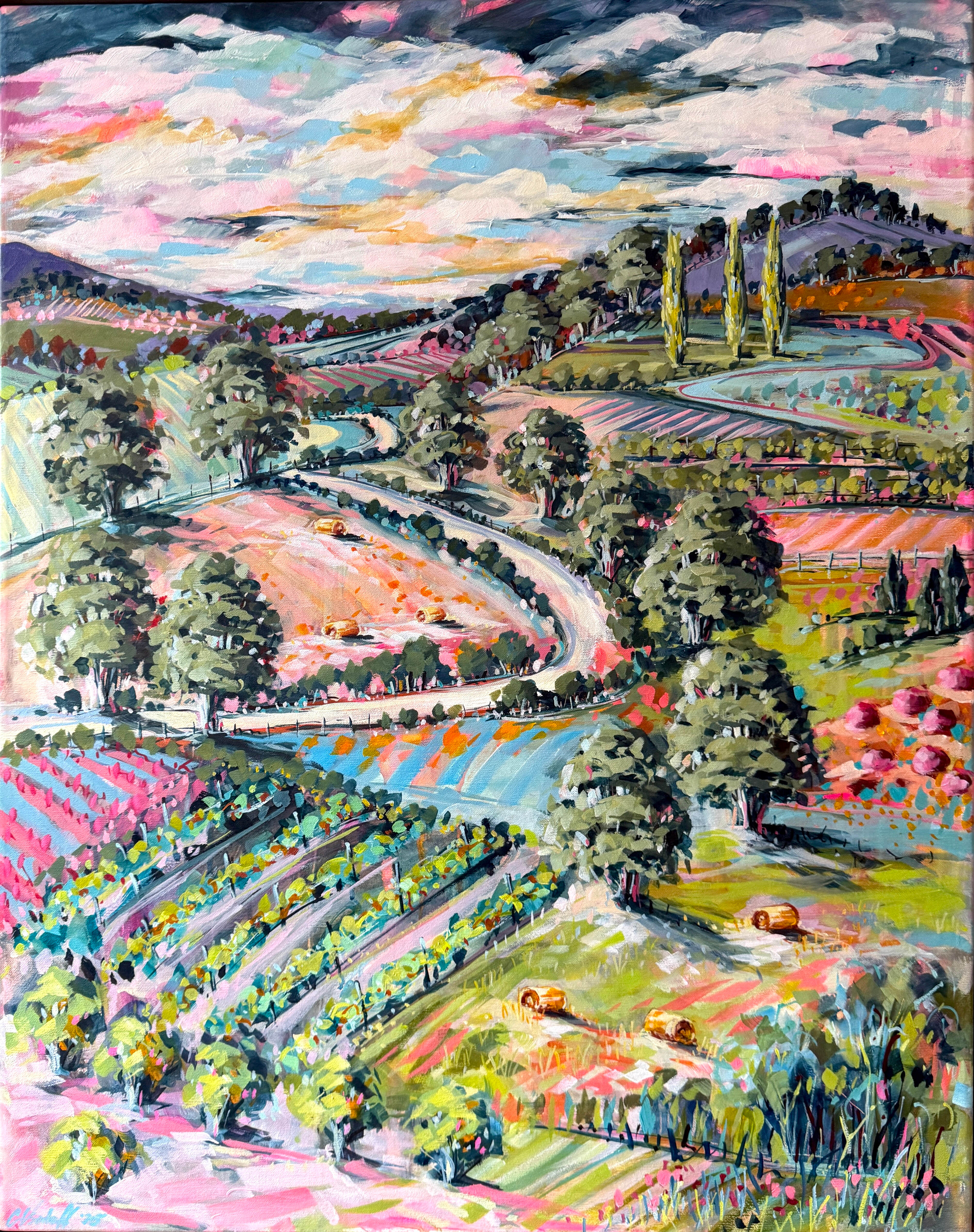 Country Road Through Red Hill 2