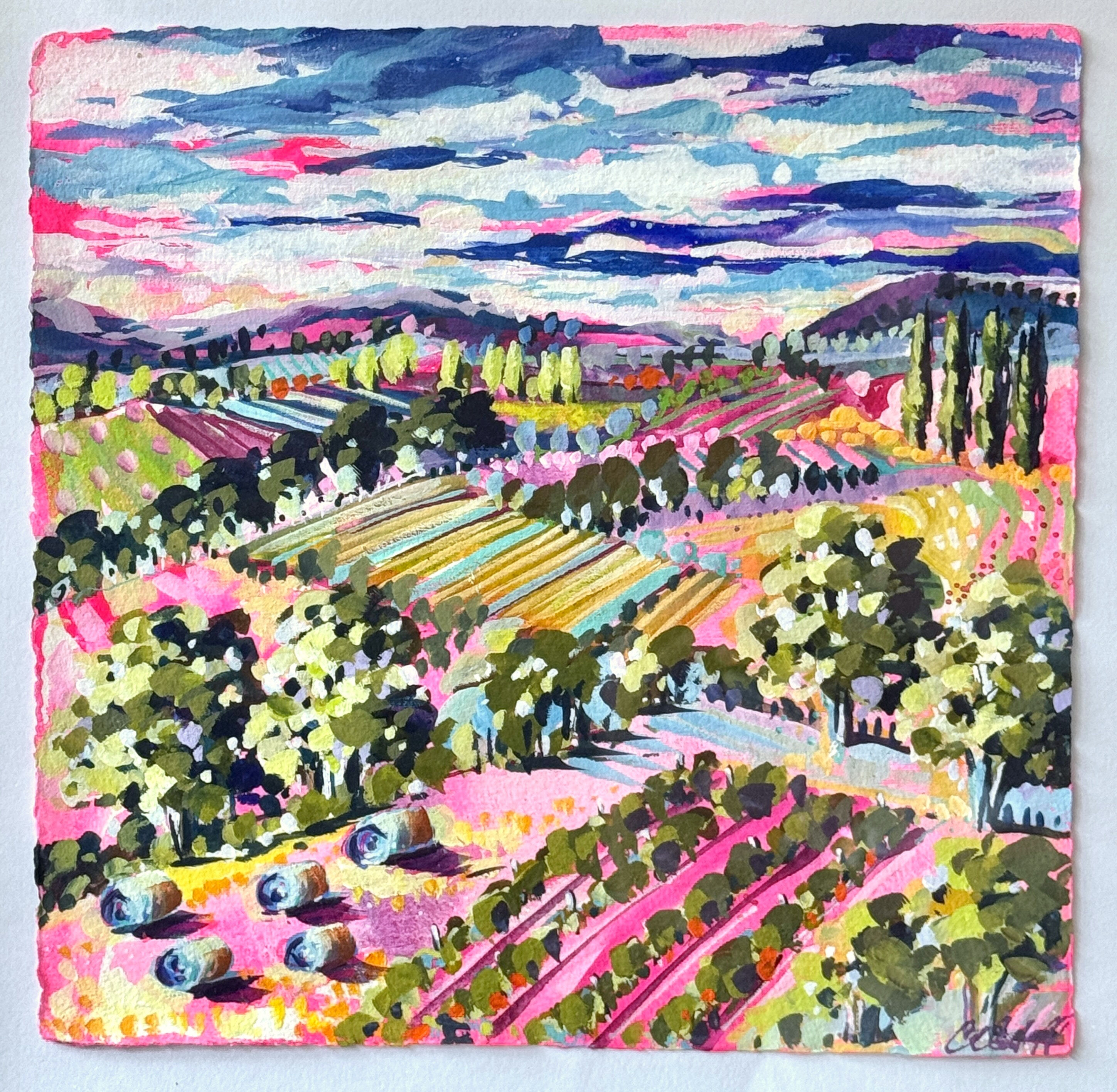 Pink Paddocks & Vines main