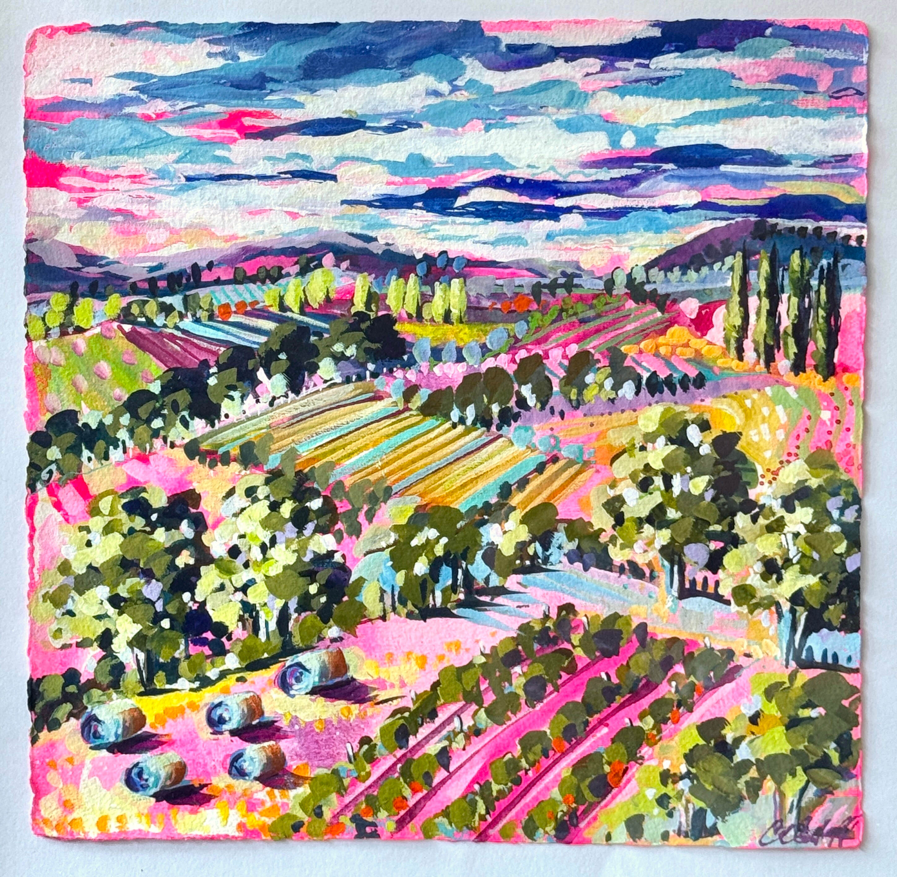 Pink Paddocks & Vines main