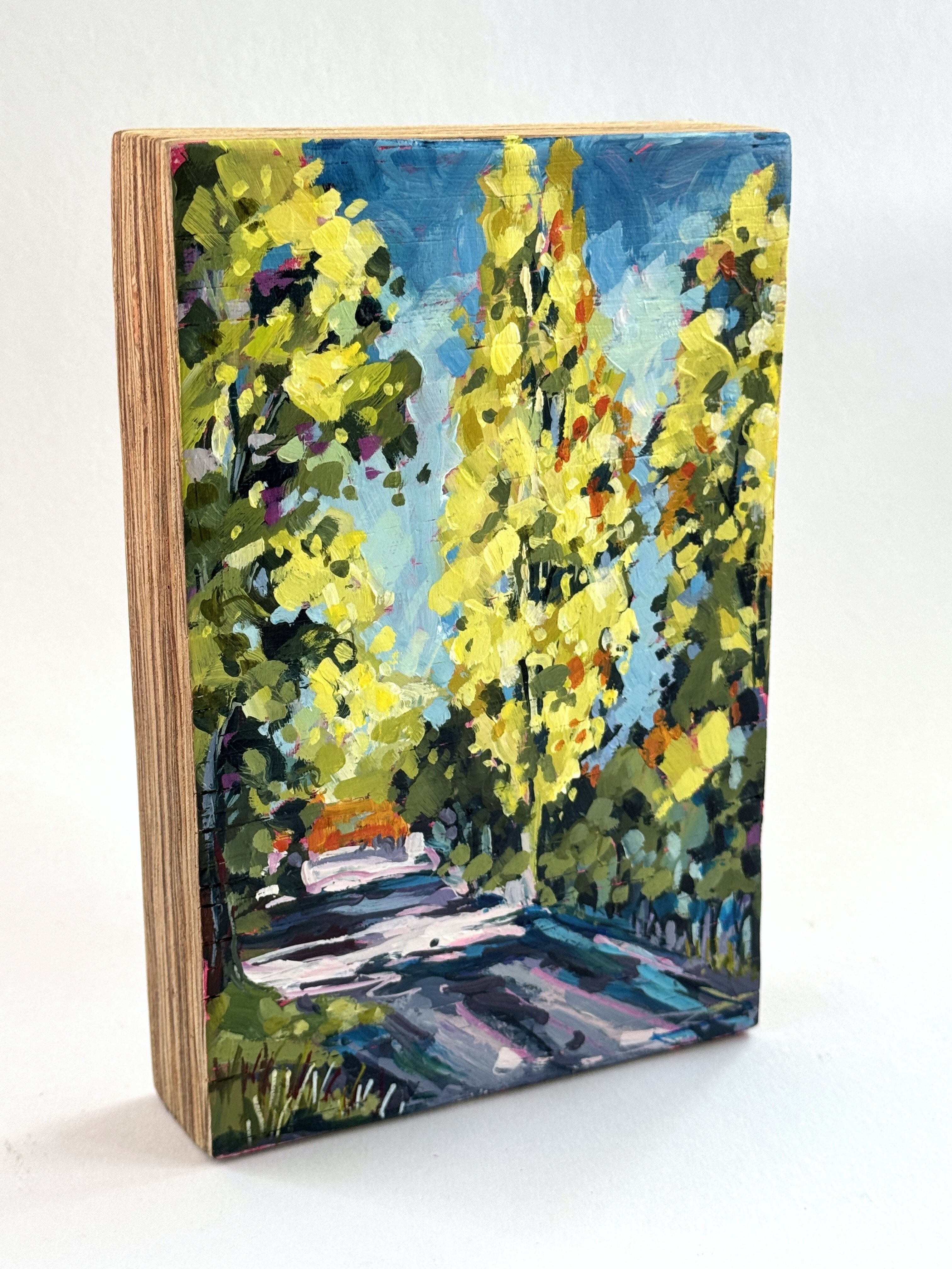 Poplar Road 1