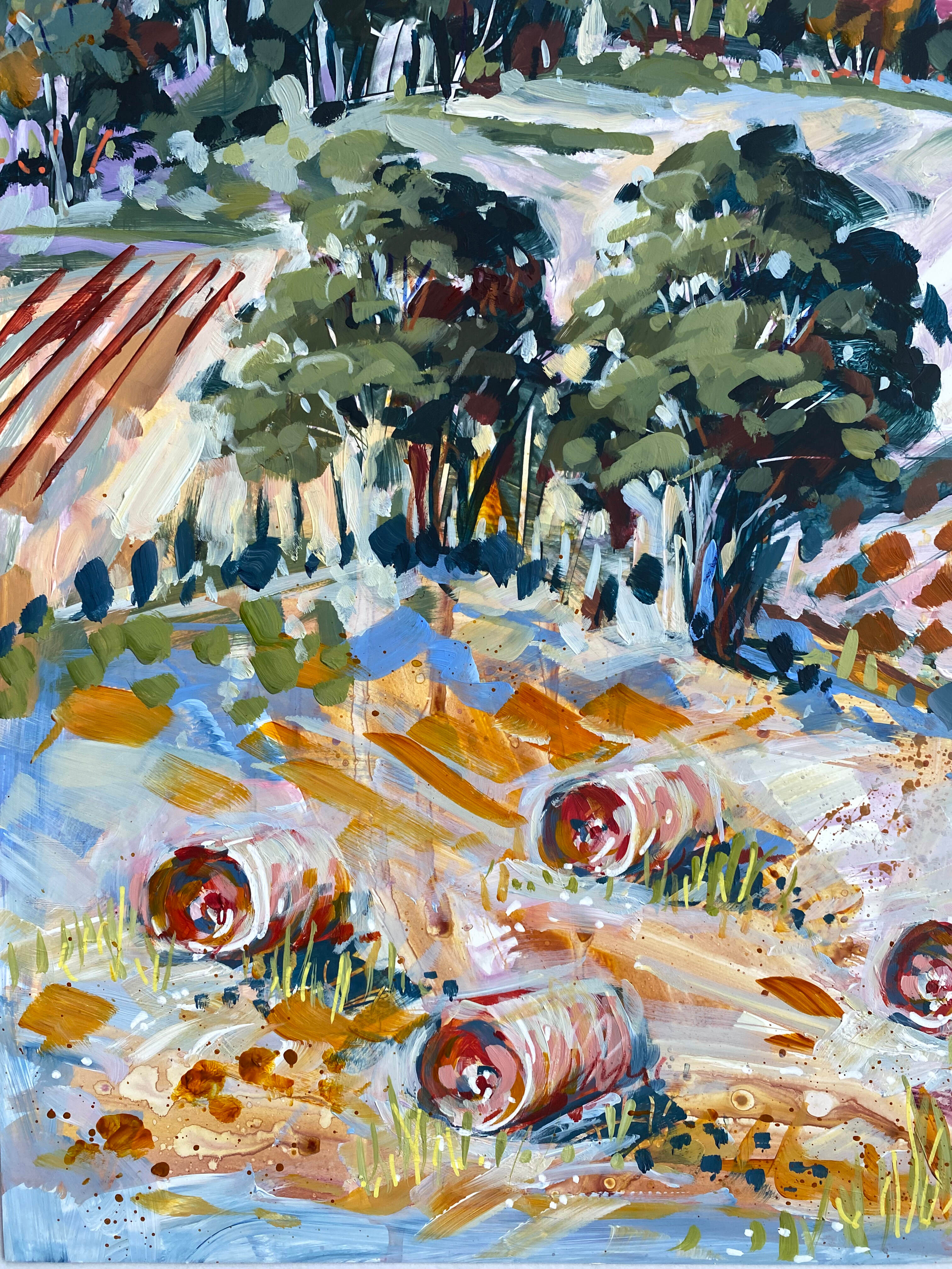 Horizons and Hues of Red Hill H3 2