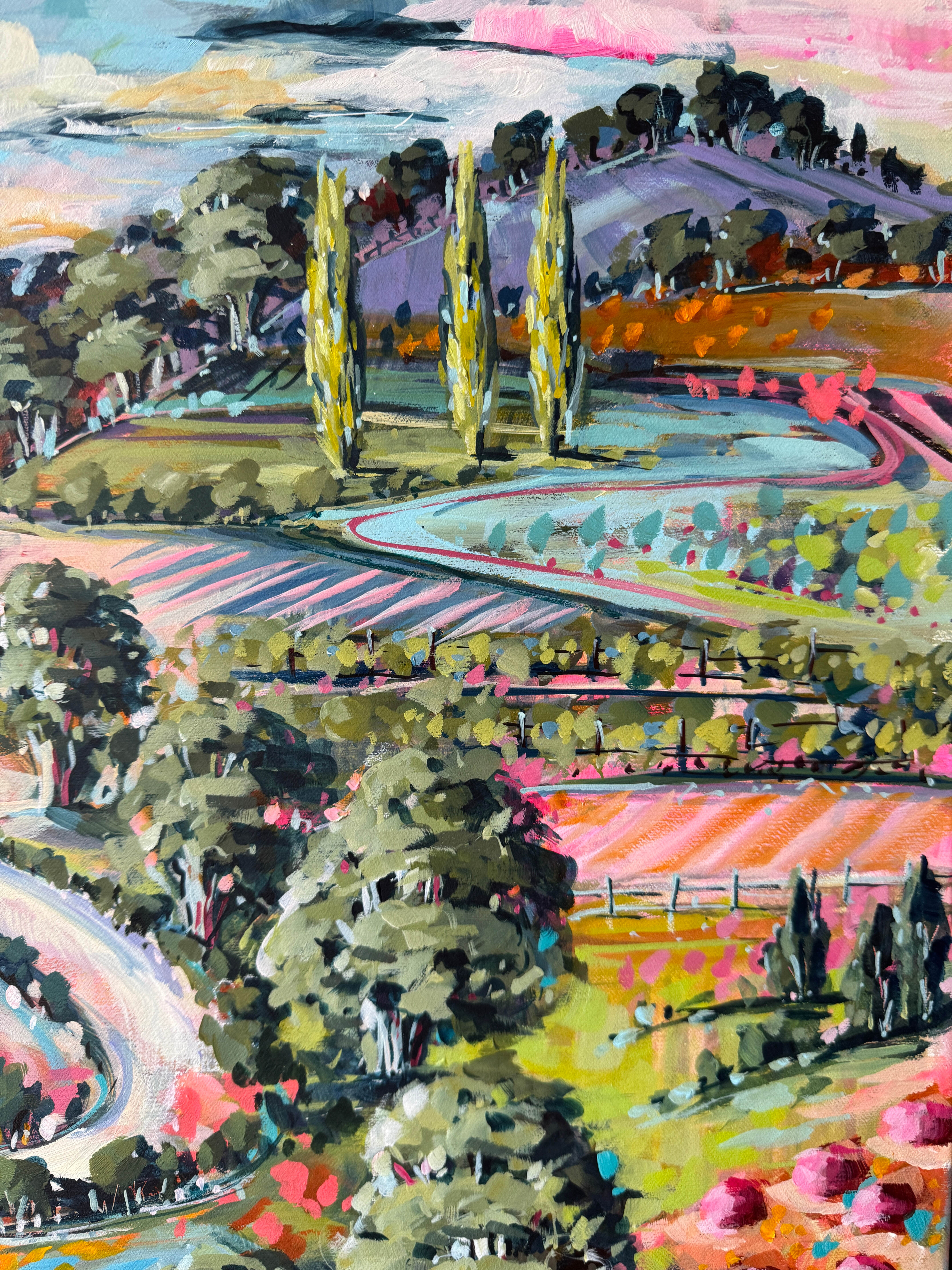 Country Road Through Red Hill 4