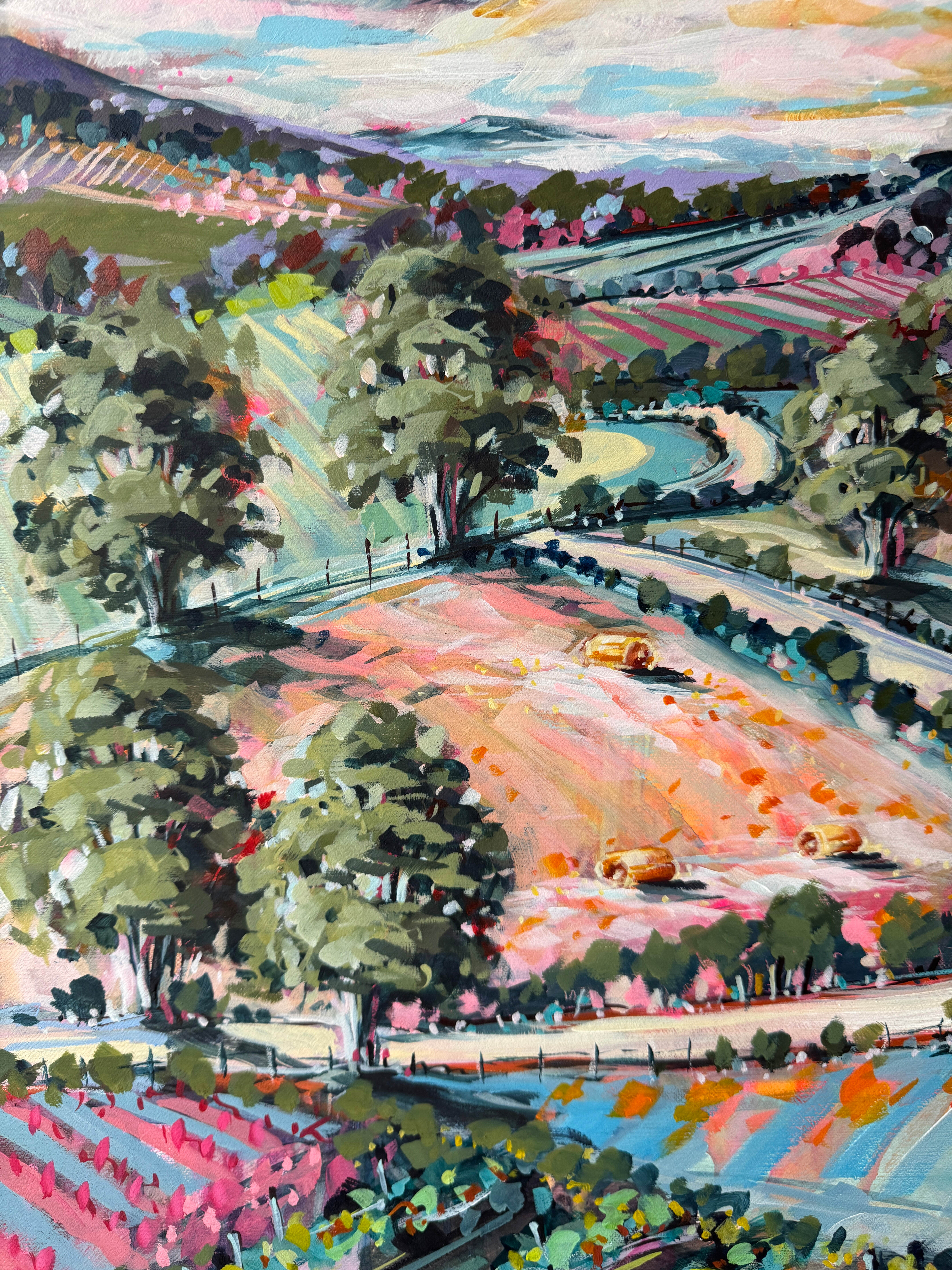 Country Road Through Red Hill 5