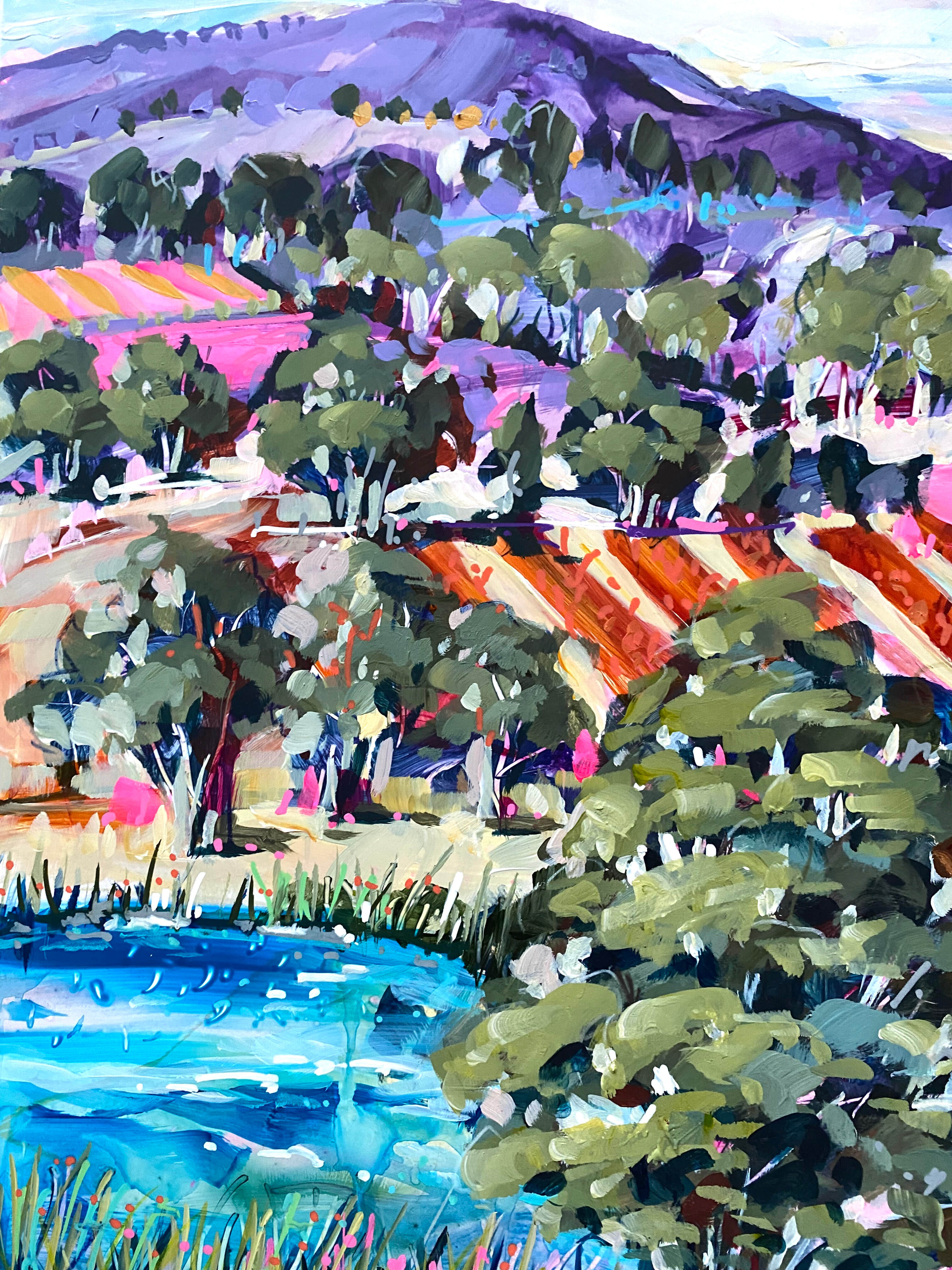 Horizons and Hues of Red Hill H2 3