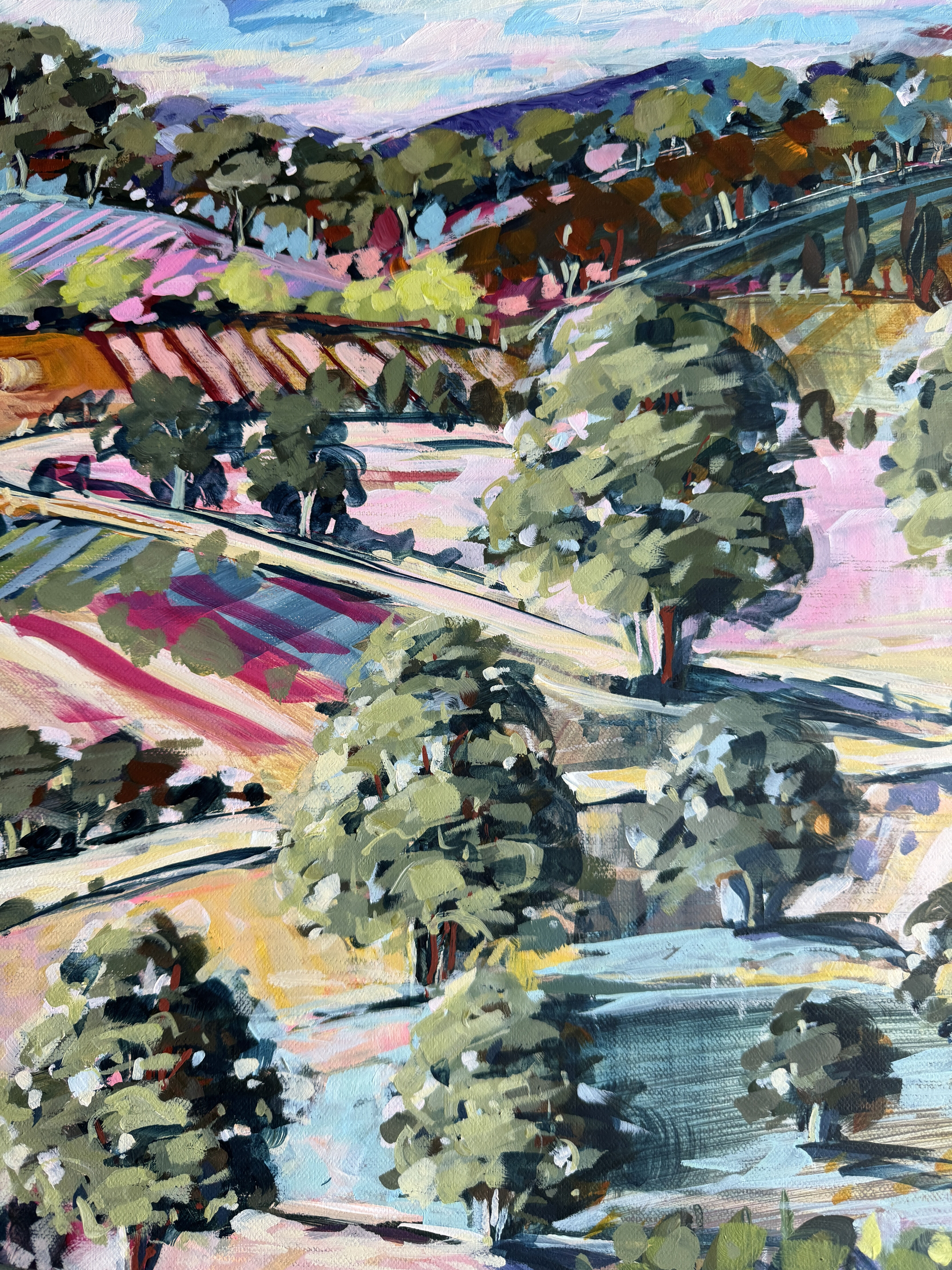 Paddocks and POnds 5