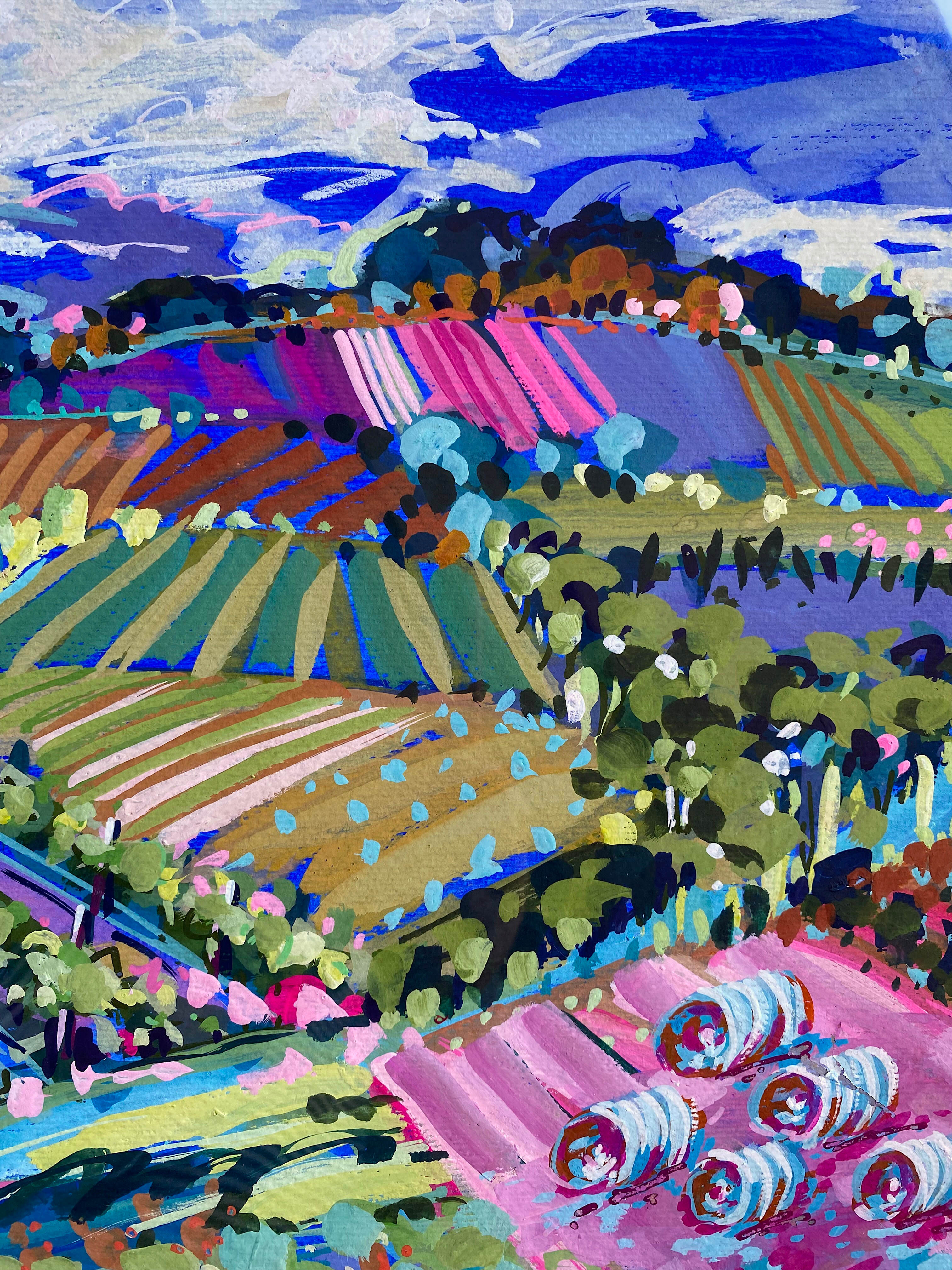 Vivid Vineyards H1 2