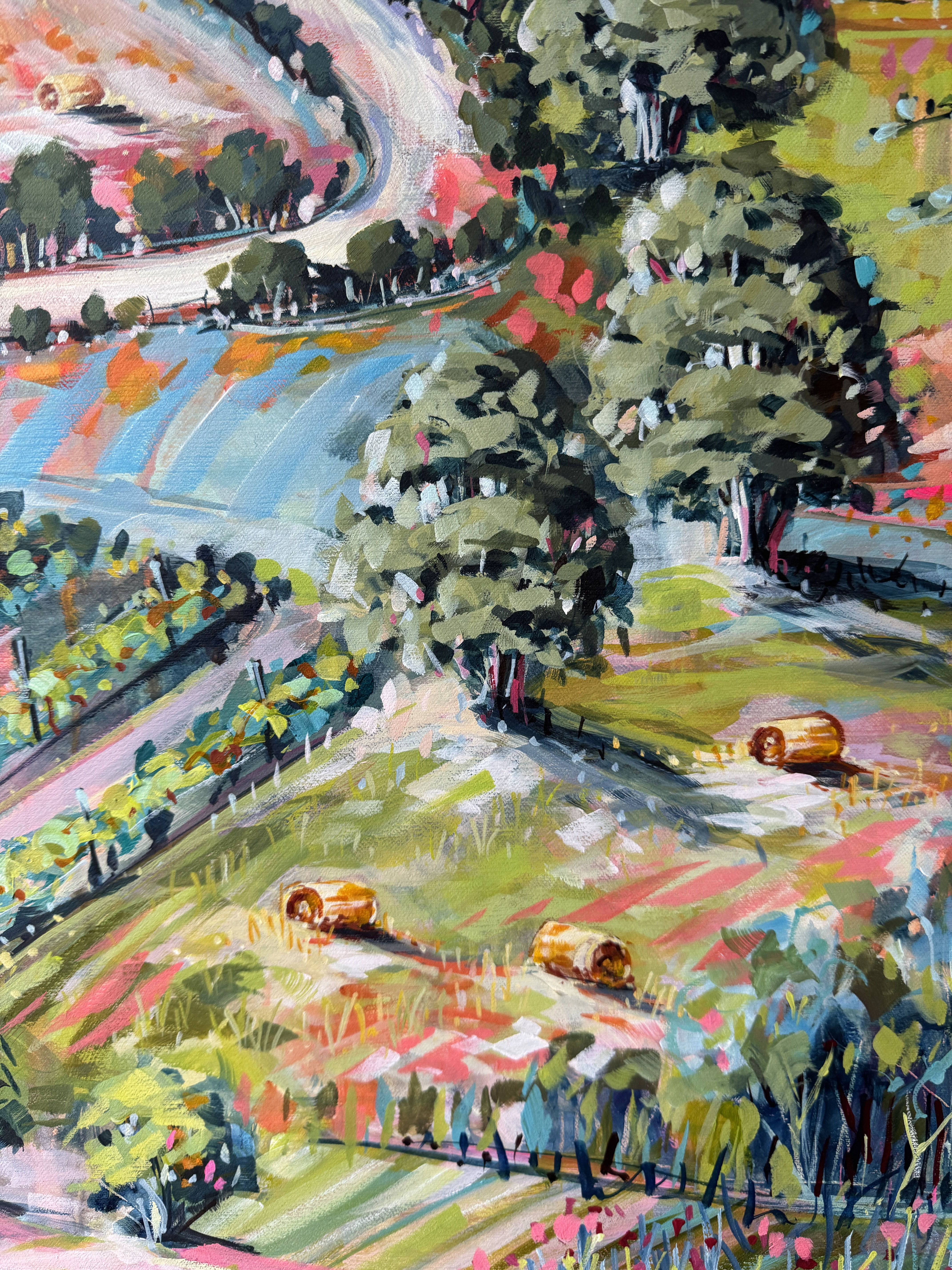Country Road Through Red Hill 3