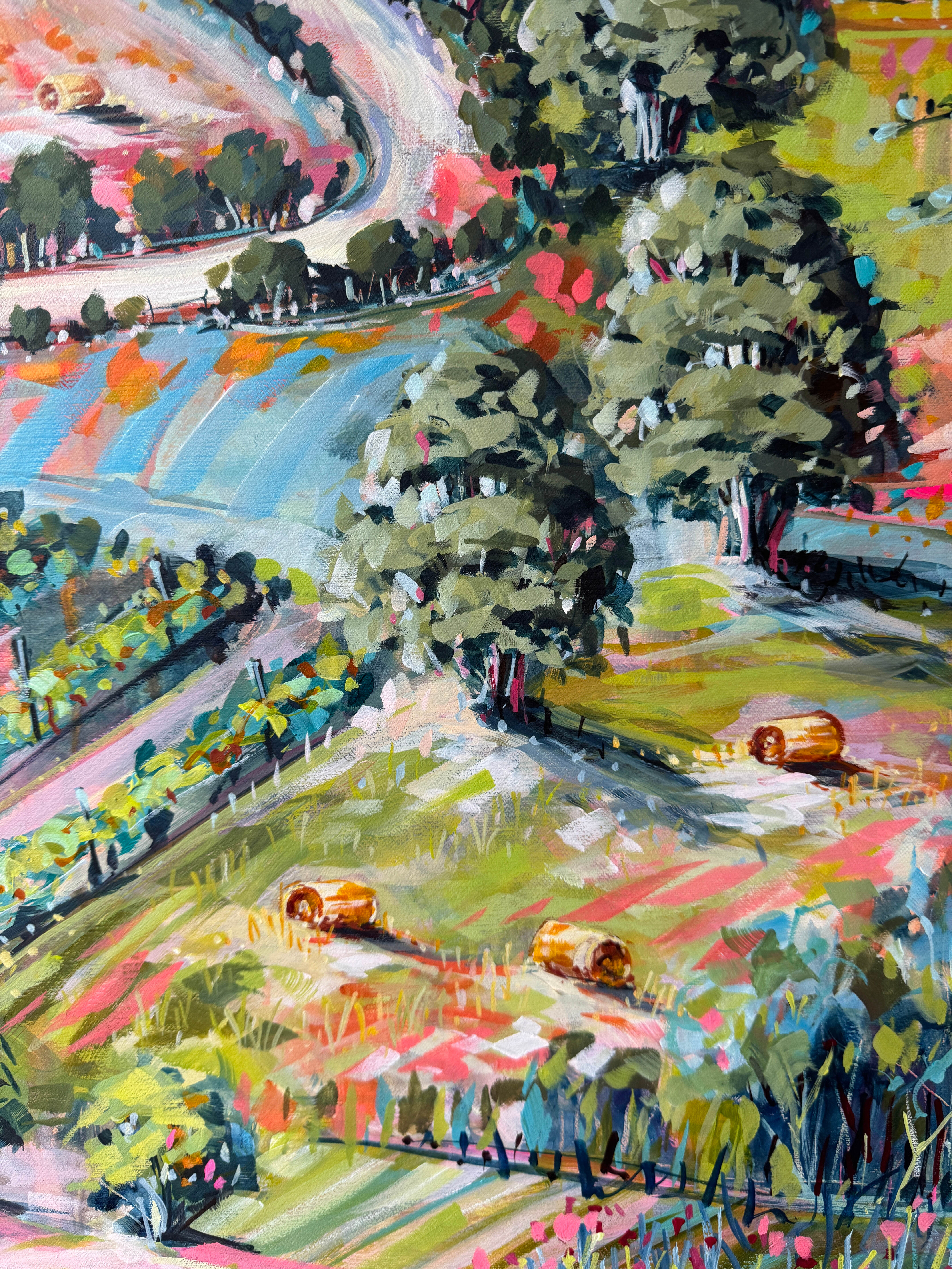 Country Road Through Red Hill 3