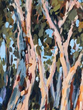 Coolart Gums 2-2
