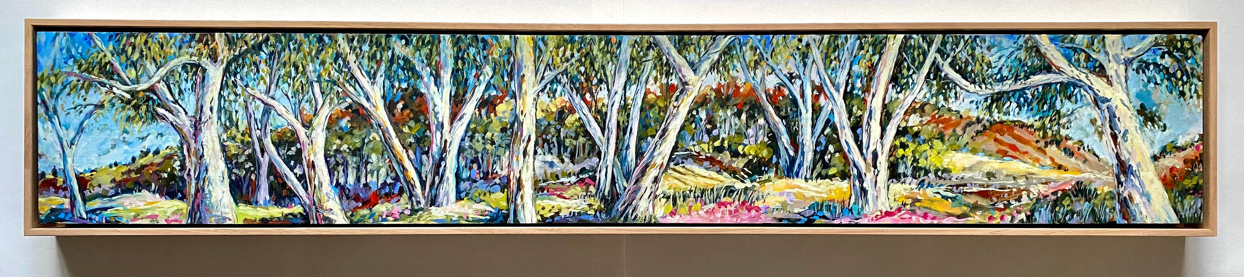 Finke Riverbed Gums main