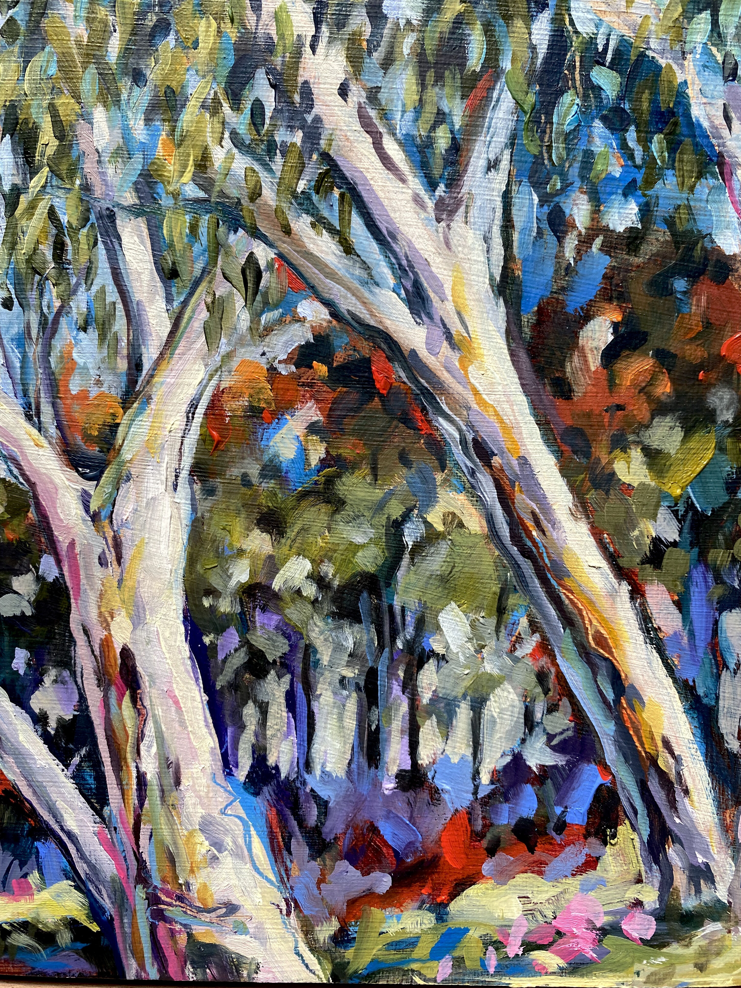 Finke River Gums 4