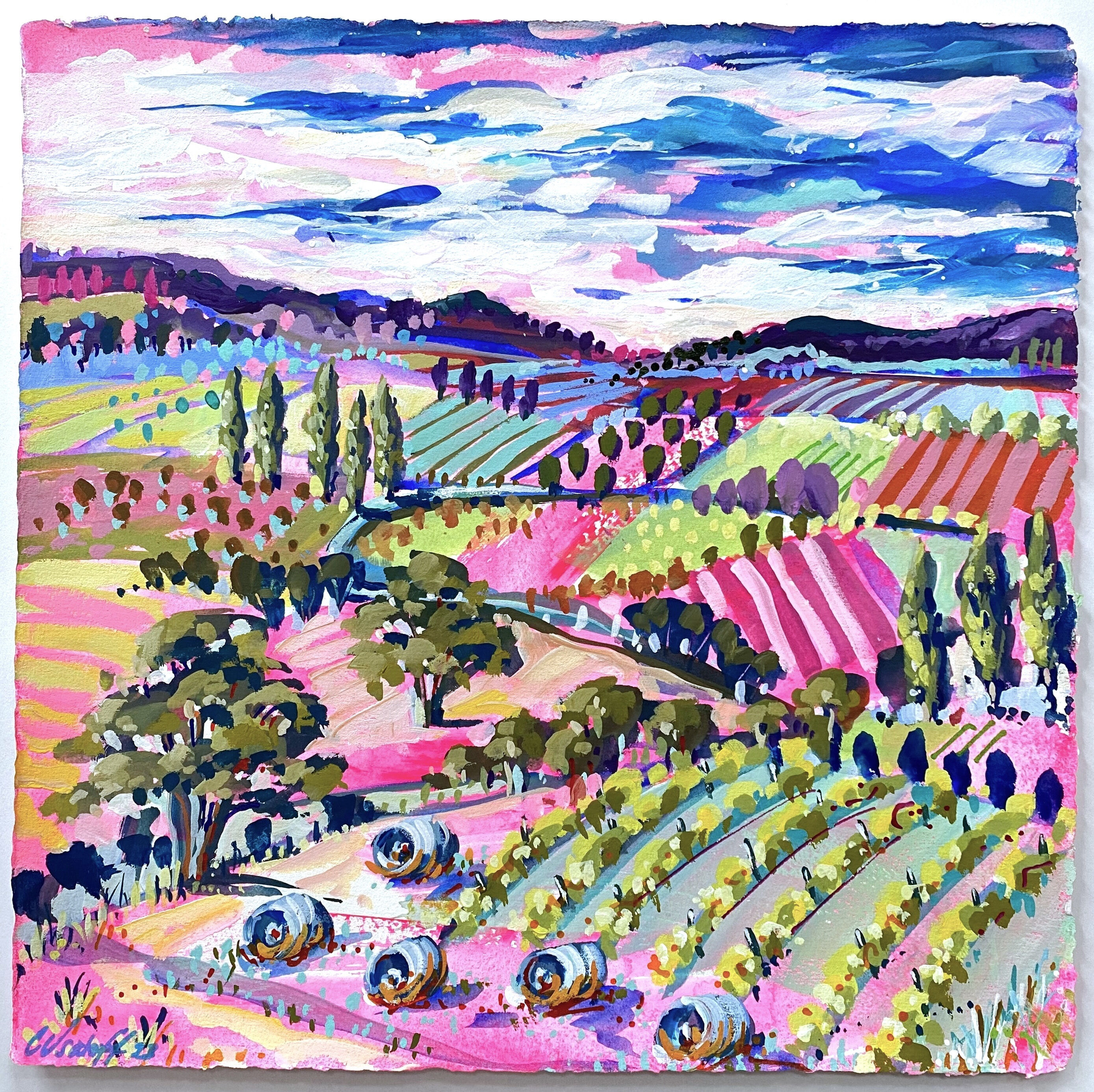 Vibrant Vineyards and Hay Bales SQ1