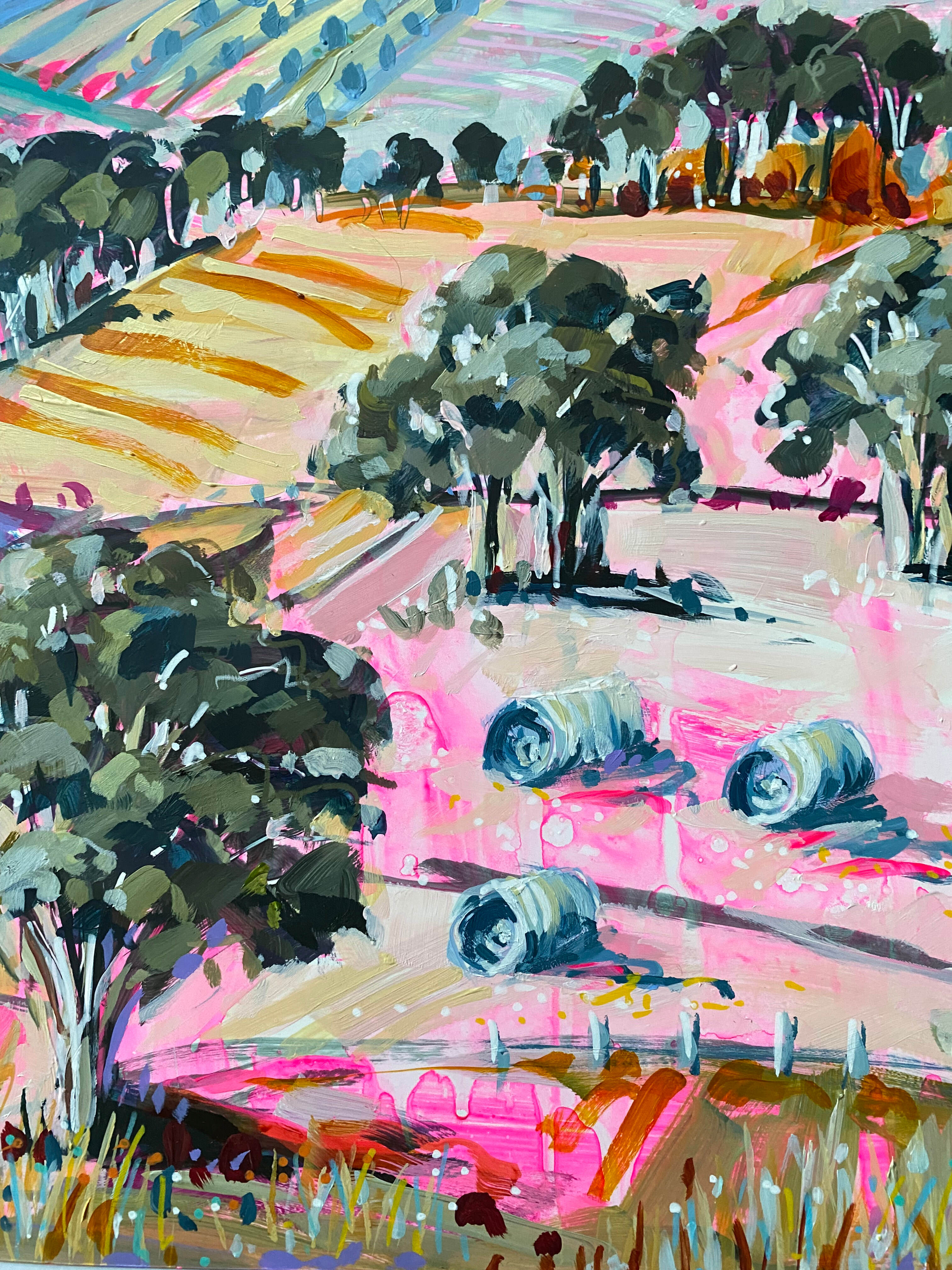 Horizons and Hues of Red Hill H1 3