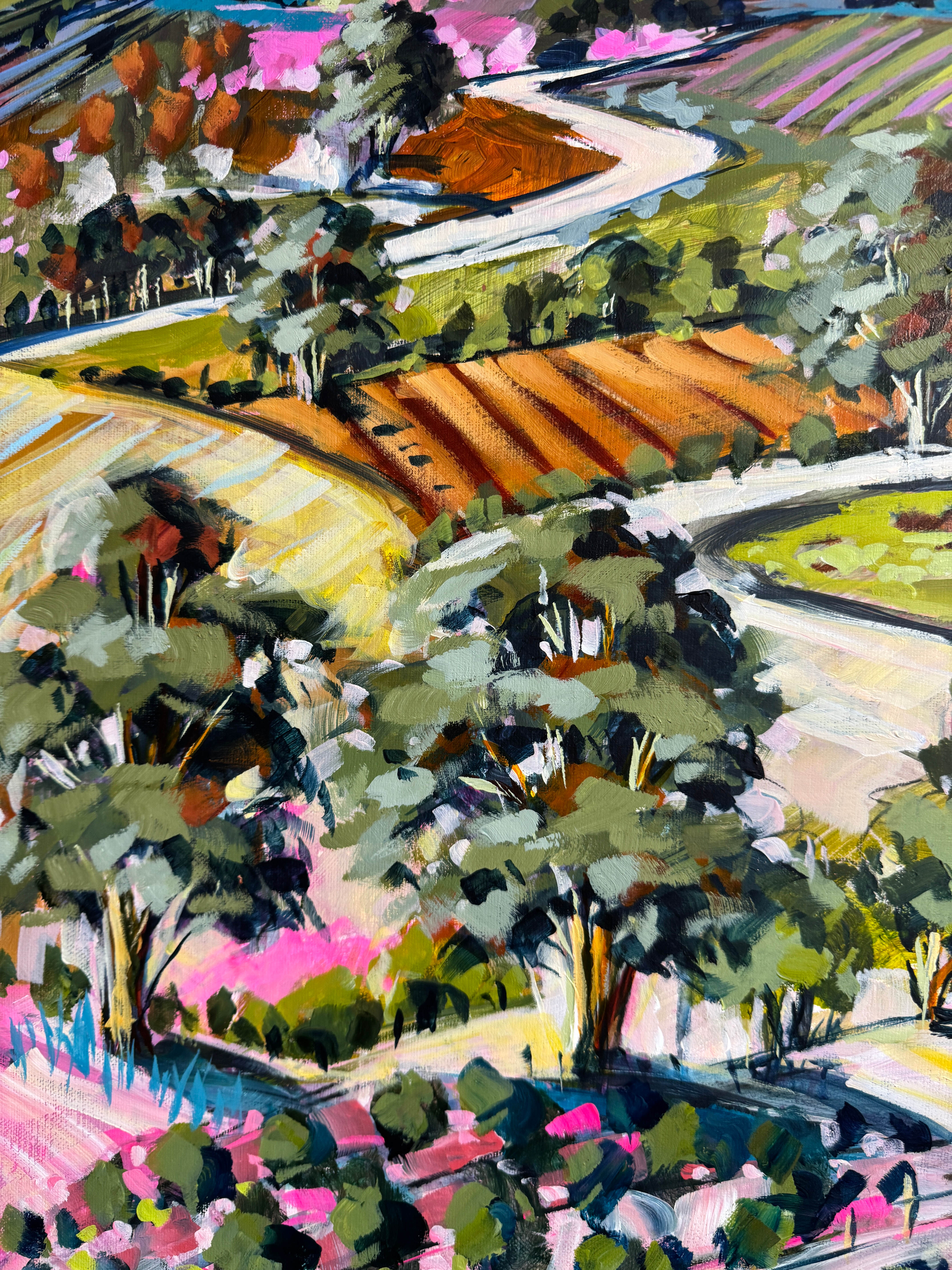 Back Roads of Winnaleah 3