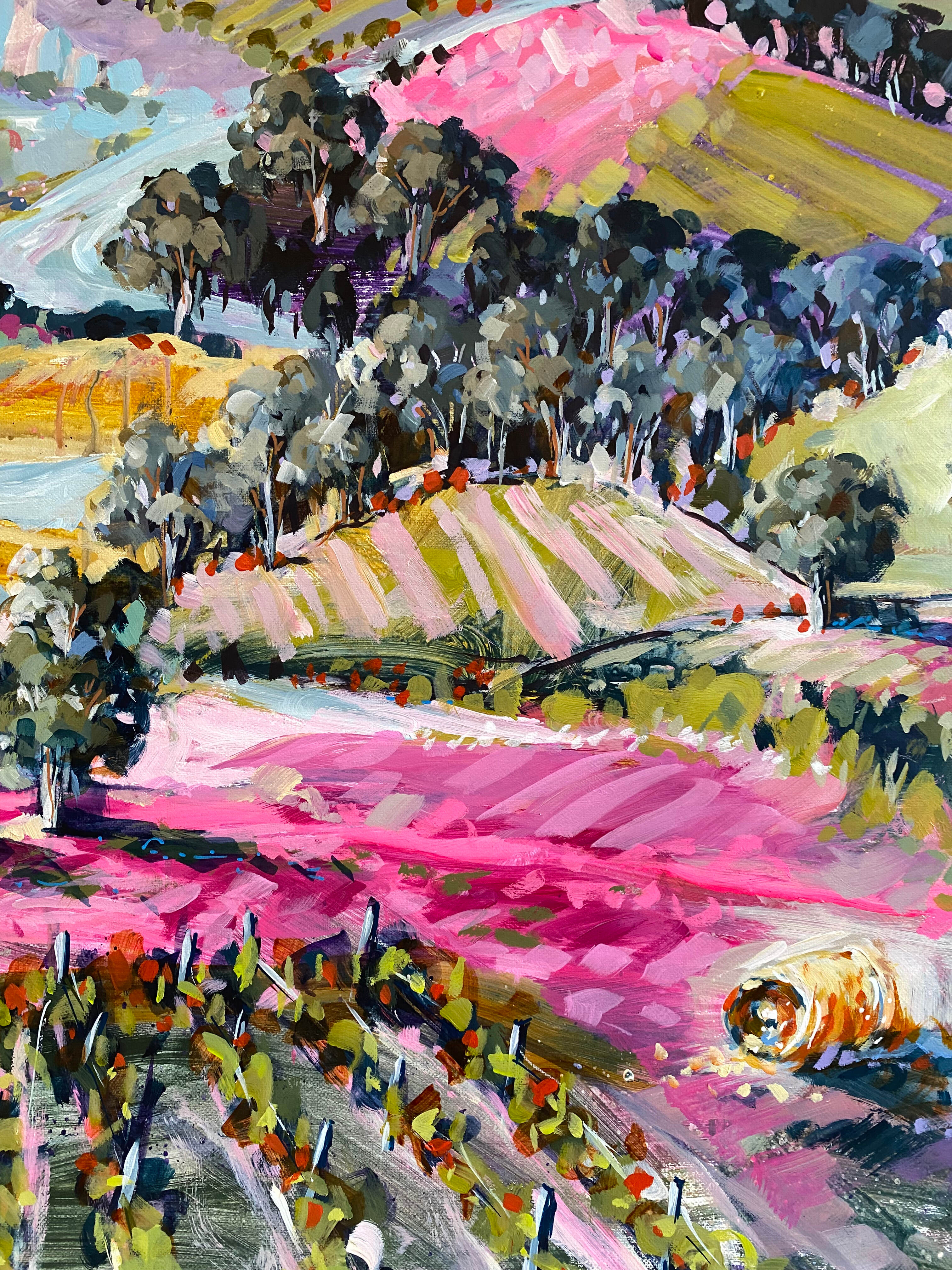 Pink Morning Light 5