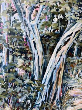Coastal Forest Walk 2