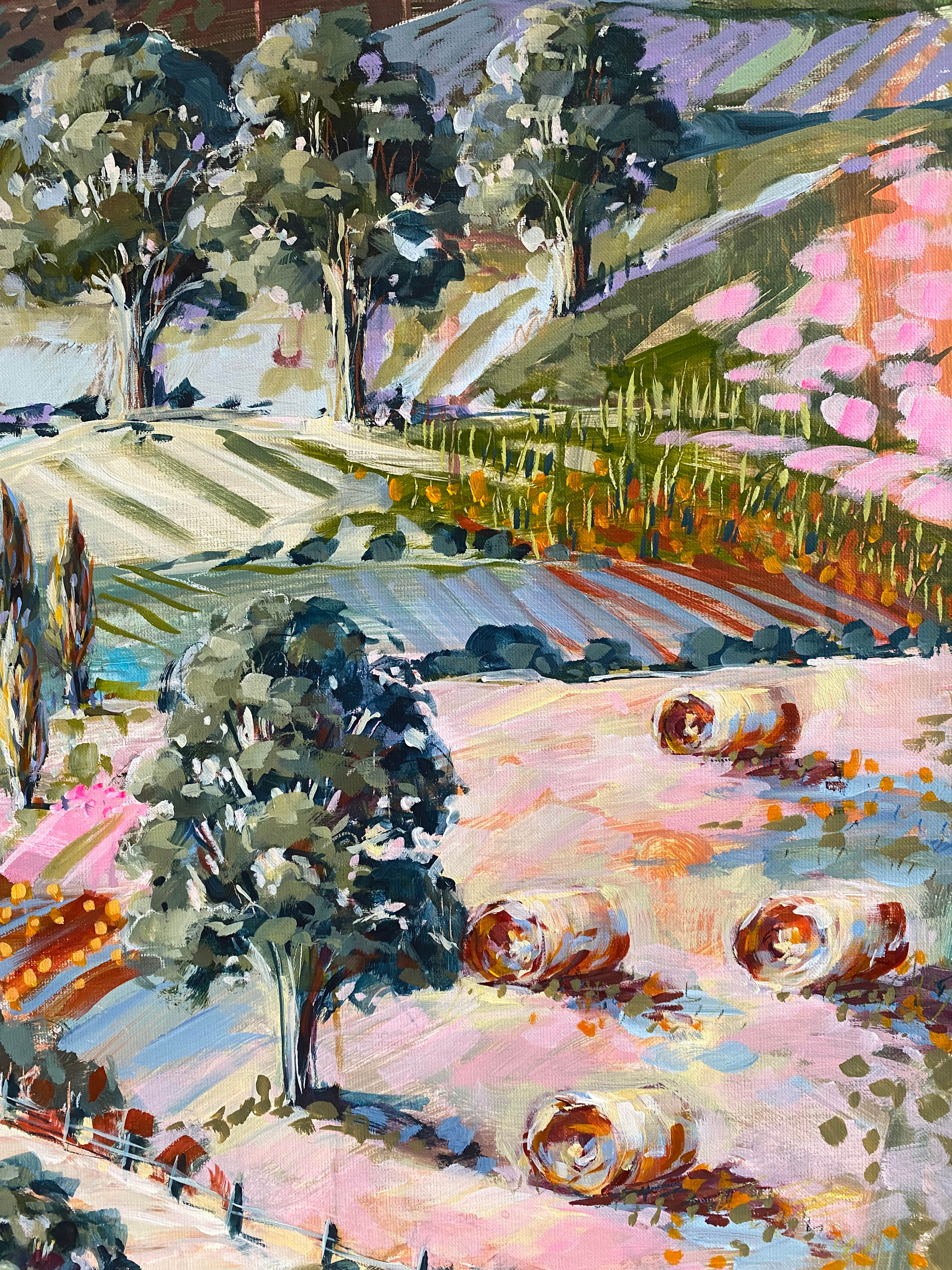 Hay Bale Morning Light 5